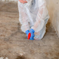 How Mold Removal Services Improve The Longevity Of Natural Stone Building Materials In South Salt Lake