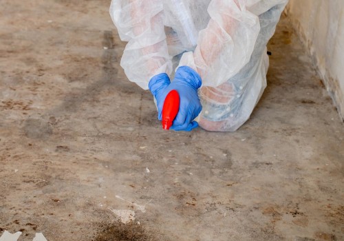 How Mold Removal Services Improve The Longevity Of Natural Stone Building Materials In South Salt Lake