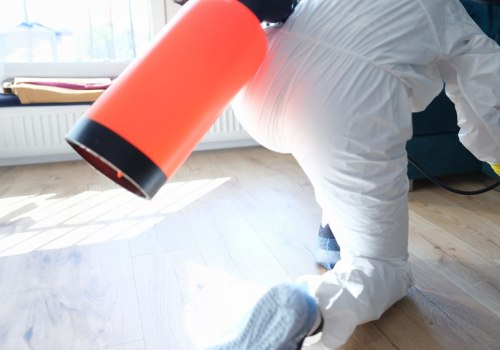 The Timeless Appeal Of Natural Stone: Enhance Your Building Restoration In Lynnwood With Expert Mold Remediation Services