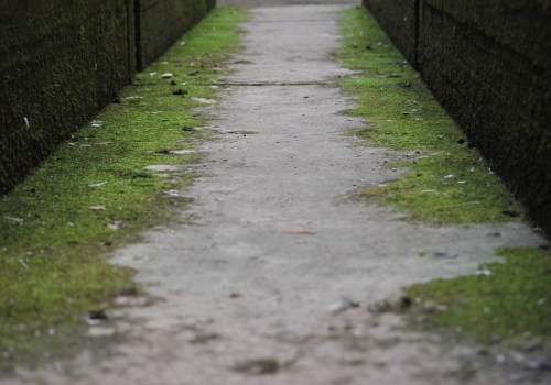 Enhance Your Home with Natural Stone and Expert Refinishing