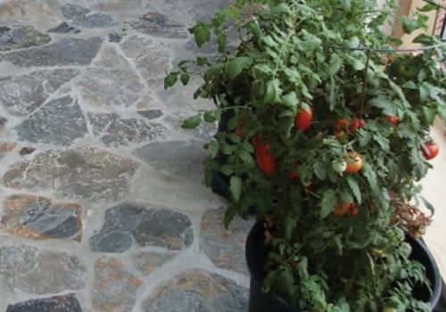 Enhance Your Home with Natural Stone Flooring in Panama City